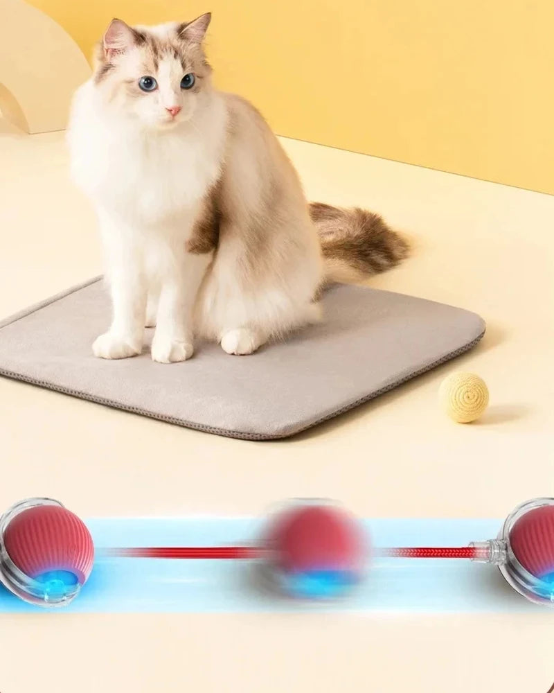 🐱 Interaktiver Spaß für neugierige Pfoten - der Rolling Ball