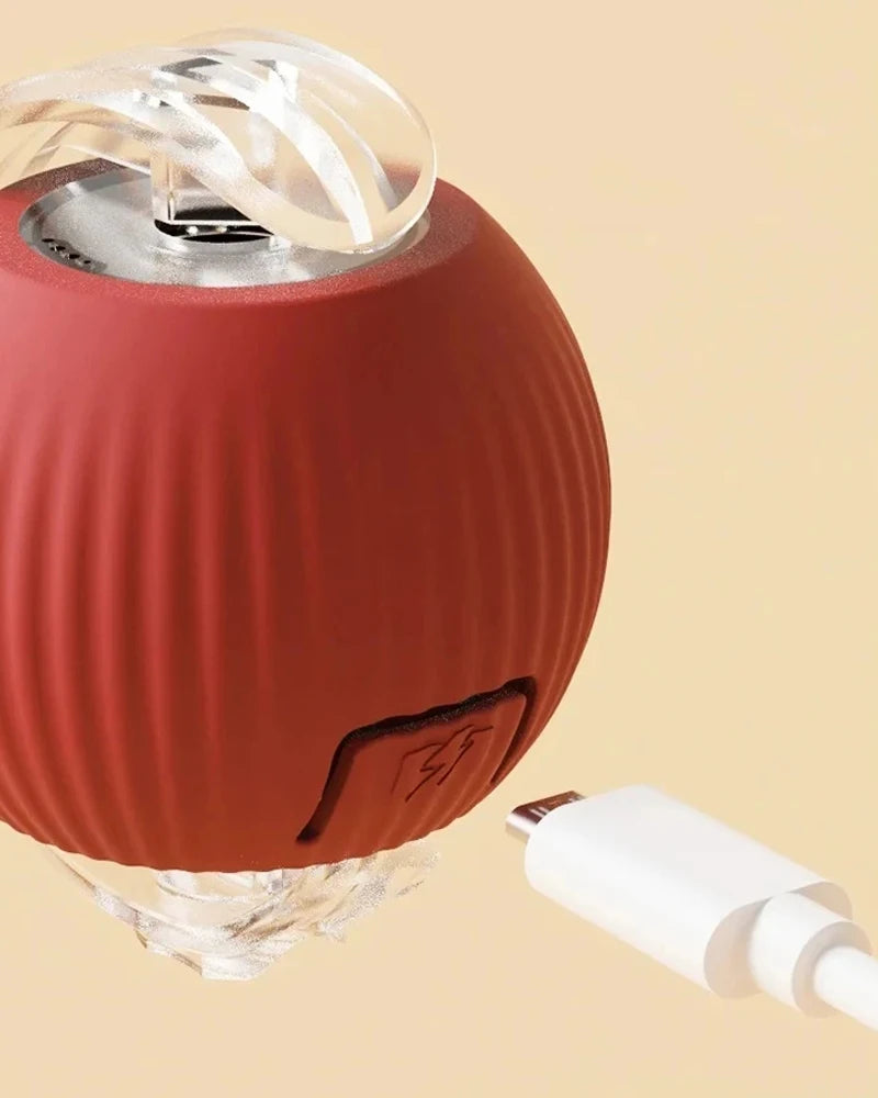 🐱 Interaktiver Spaß für neugierige Pfoten - der Rolling Ball